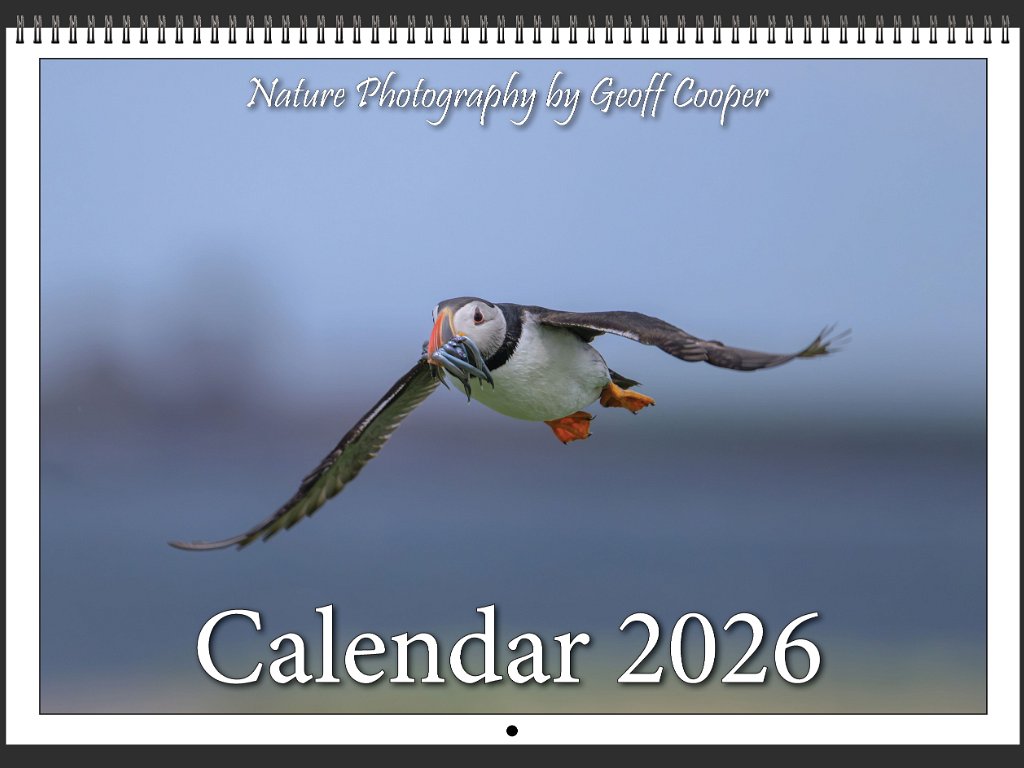 2026 Calendar